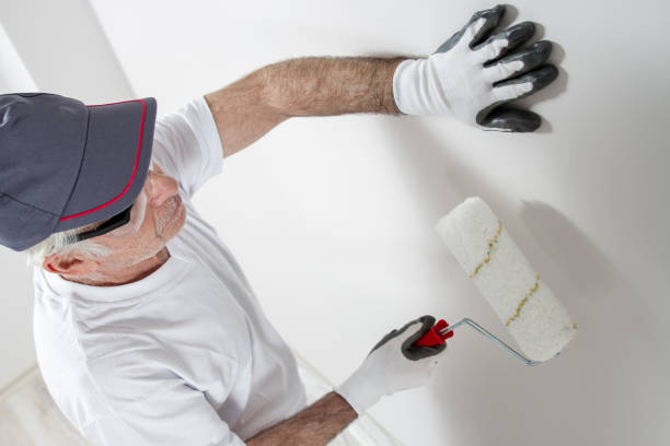 Mold Odor Removal Services in Gloucester Point, VA